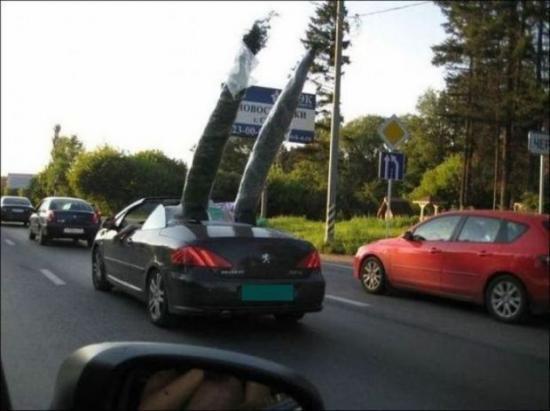 cabrio da si wszystko przewozi