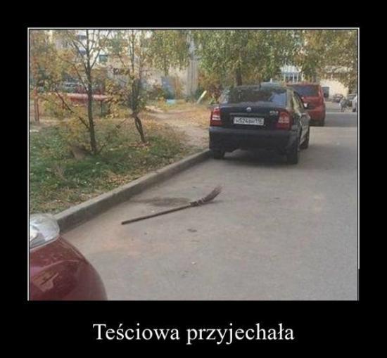 Odwiedziny teciowej