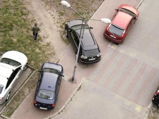 Mistrzowie parkowania, idealne zdjcie