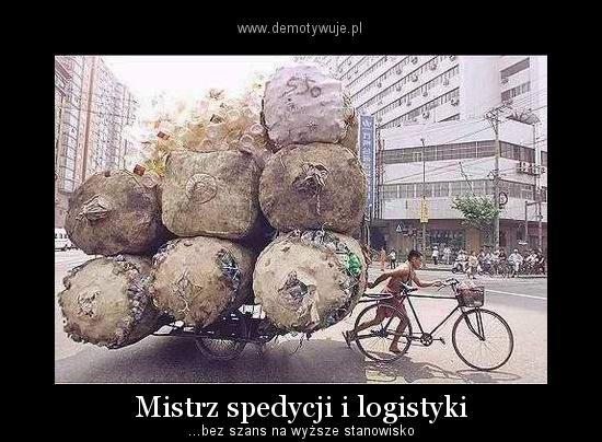 Wersja ekonomiczna 