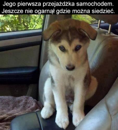 Jeszcze troch i na pewno si uda!