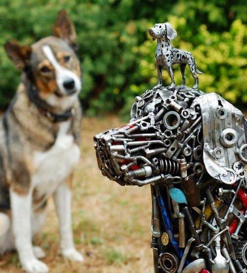 By pies ogrodnika, czas na psa mechanika 🐶
