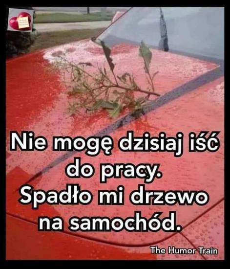 Cakiem powany powd 💪